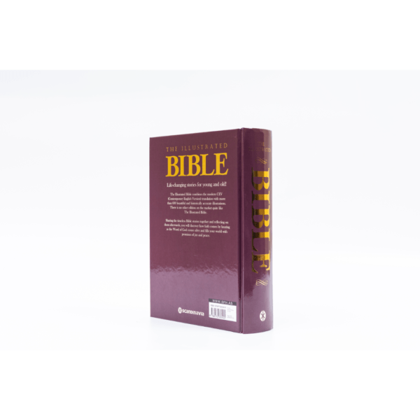 Illustrated Childrens Bible - Image 3