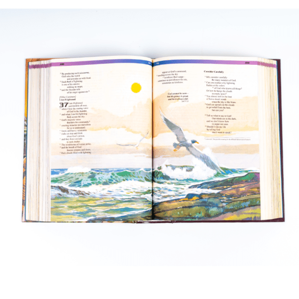 Illustrated Childrens Bible - Image 4