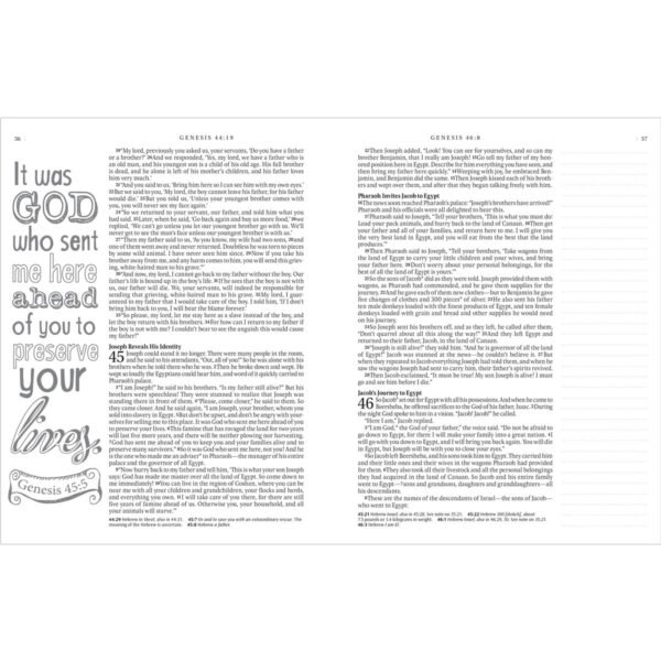 NLT Blue Faux Leather Hardcover Inspire Bible - Image 4