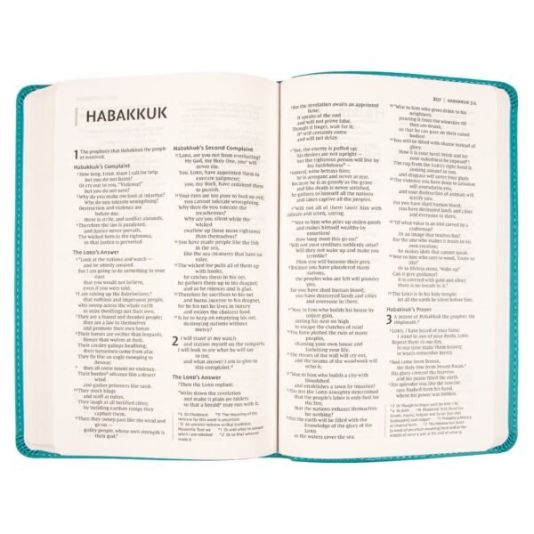 NIV Faux Leather Value Thinline Bible Teal Comfort Print - Image 8