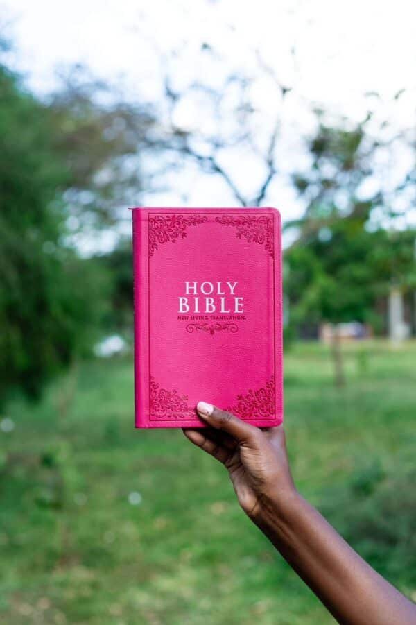 NLT Pink Faux Leather Standard Bible Thumb Indexed With Zip