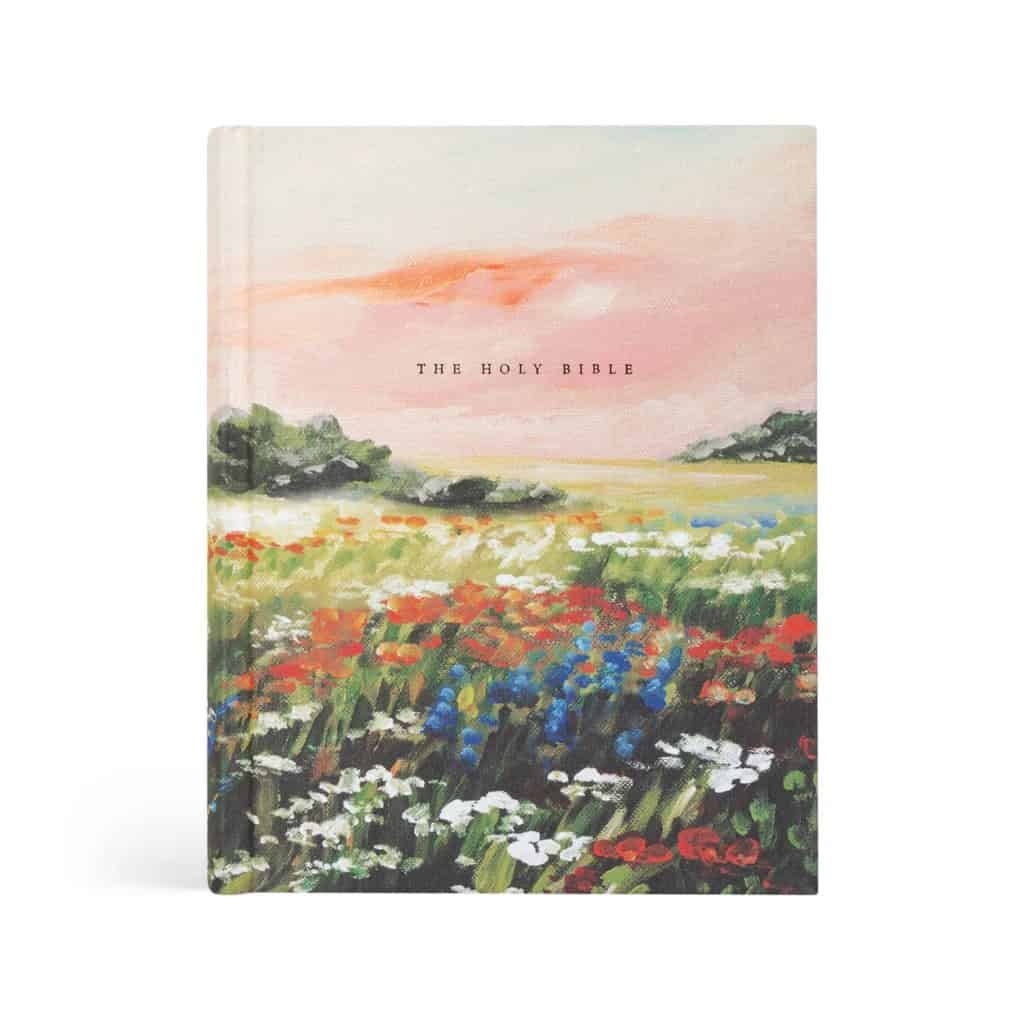 NLT Notetaking Bible: Coram Theme - Image 5